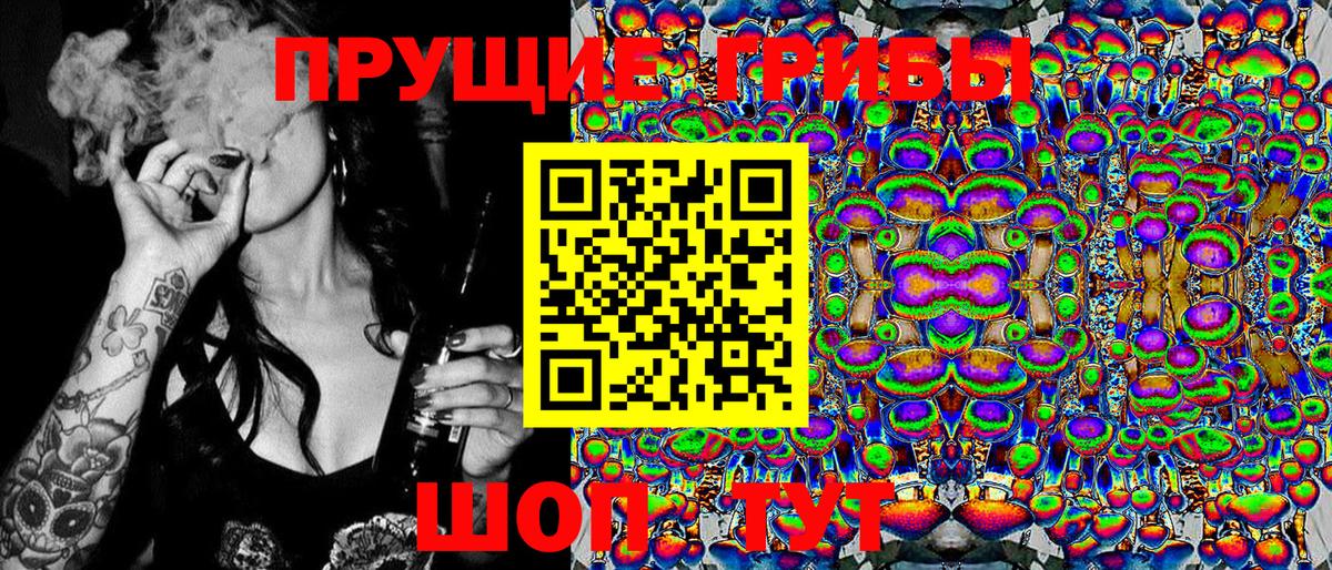 Псилоцибиновые грибы MAGIC MUSHROOMS  закладка  Каменка  Псилоцибиновые грибы прущие грибы  Вход с VPN 