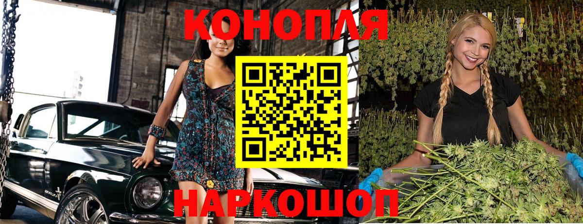 Шишки марихуана планчик  Каннабис Ganja  Каменка  Вход с VPN 